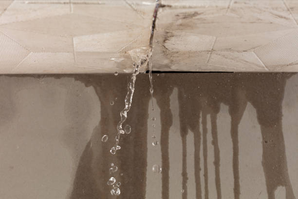 Professional Water Damage Restoration technician working in Englishtown, NJ